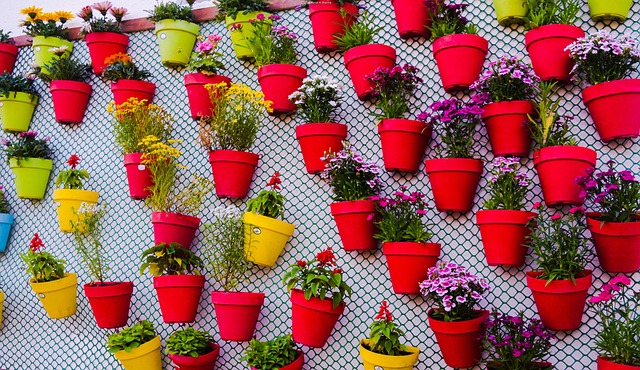 DIY Plant Wall for a Green Touch