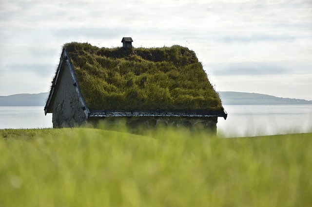 Green Roofing