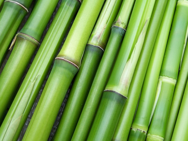 Bamboo Flooring