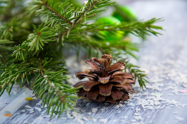 Rustic Twig Christmas Tree